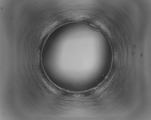 X0000067340493200604131729