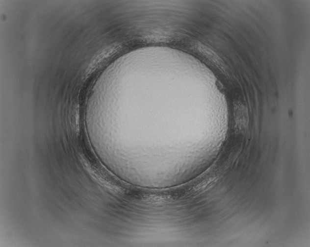 X0000067340494200604131729