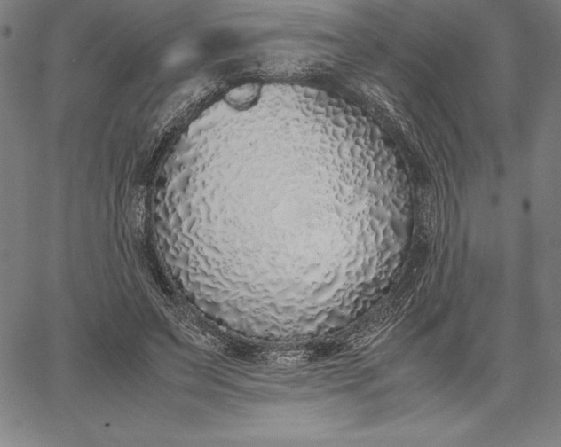 X0000067340495200604131729
