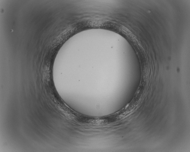 X0000067340497200604131729
