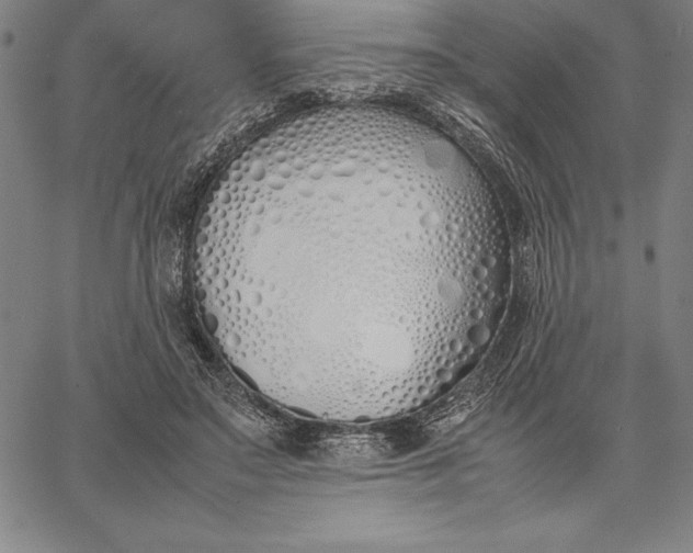 X0000067340499200604131729