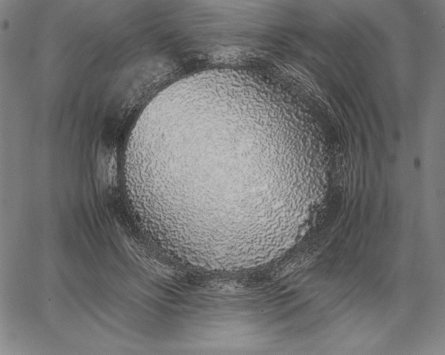 X0000067340502200604131729