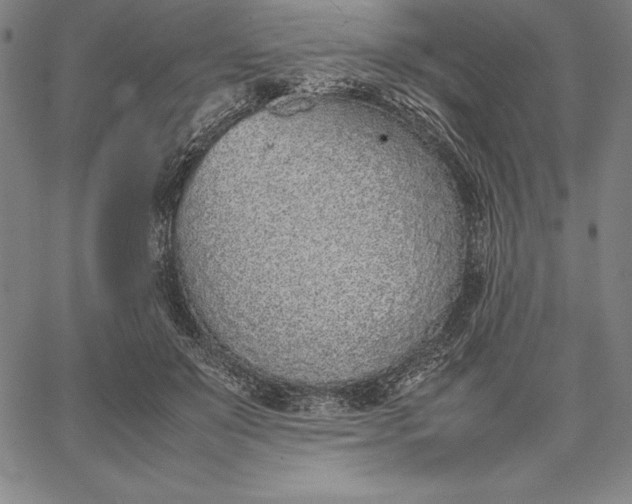 X0000067340503200604131729