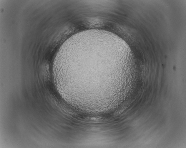 X0000067340506200604131729