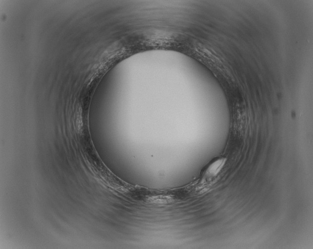 X0000067340508200604131729