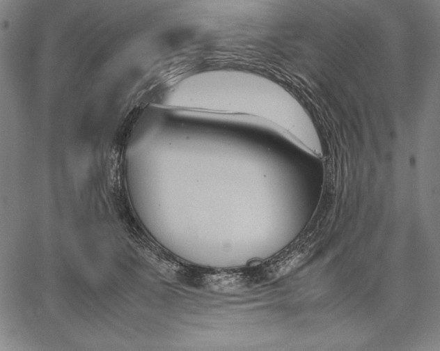 X0000067340511200604131729