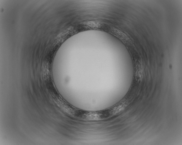 X0000067340518200604131729
