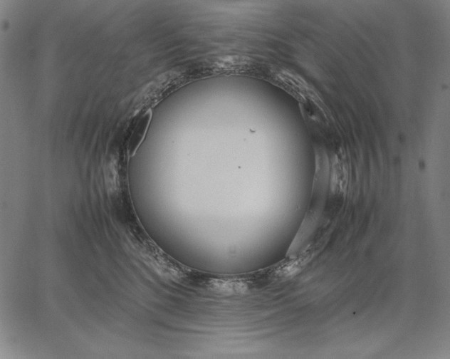 X0000067340520200604131729