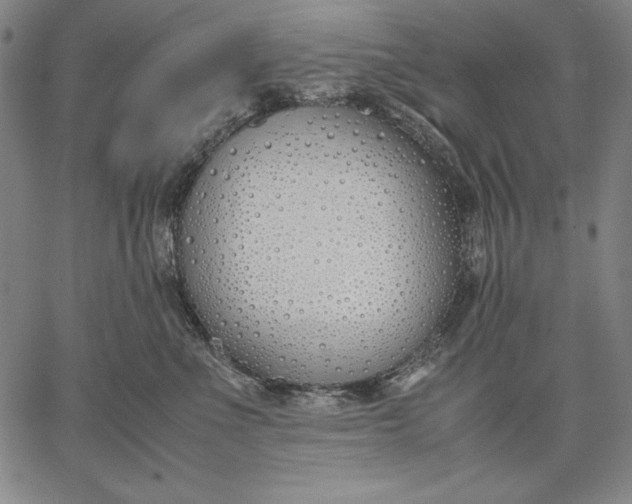 X0000067340523200604131729
