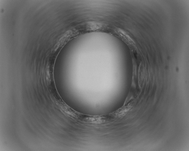 X0000067340524200604131729