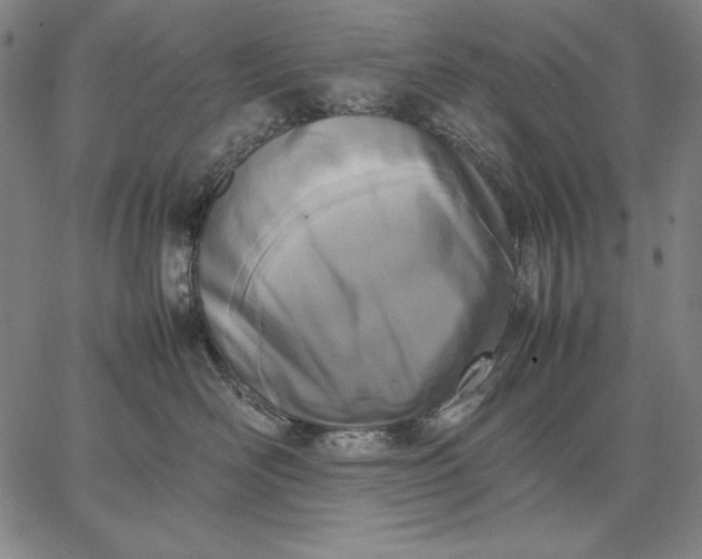X0000067340526200604131729