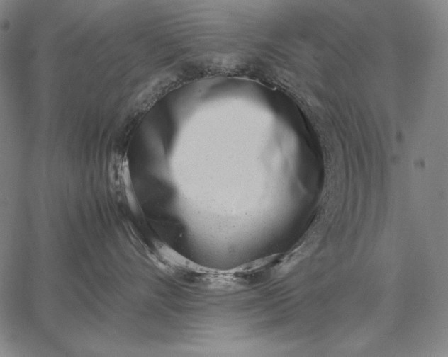 X0000067340528200604131729