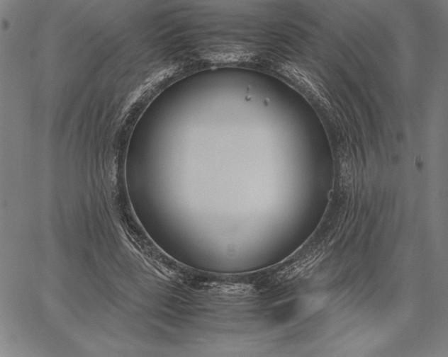 X0000067340539200604131728