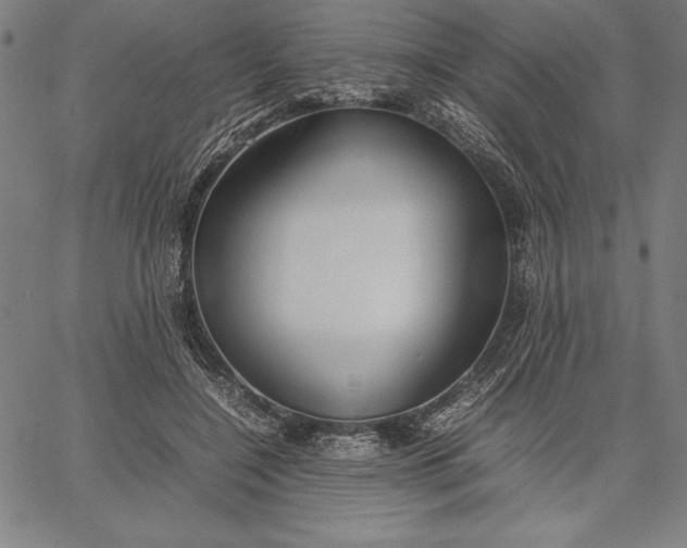 X0000067340548200604131728