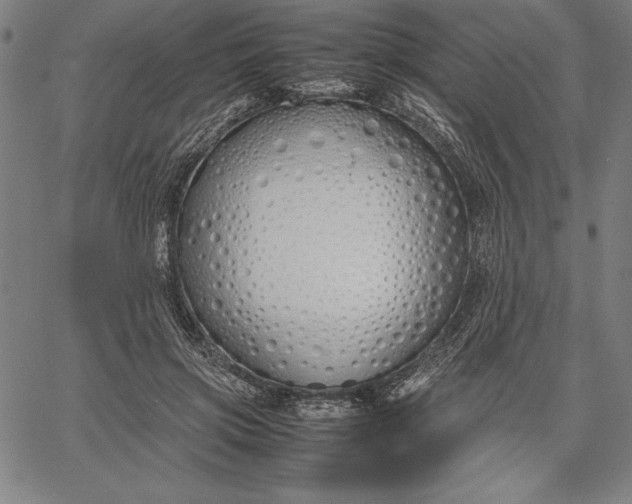 X0000067340549200604131728