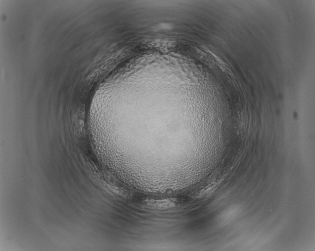 X0000067340553200604131728