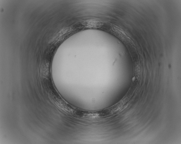 X0000067340554200604131728