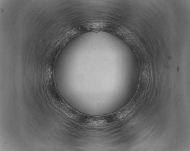 X0000067340555200604131728