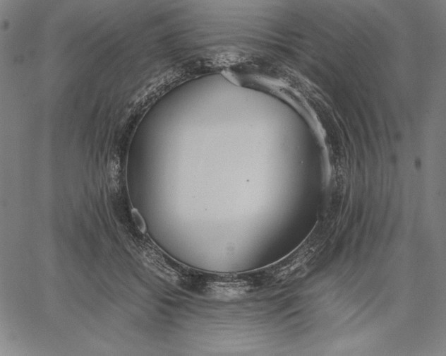 X0000067340556200604131728