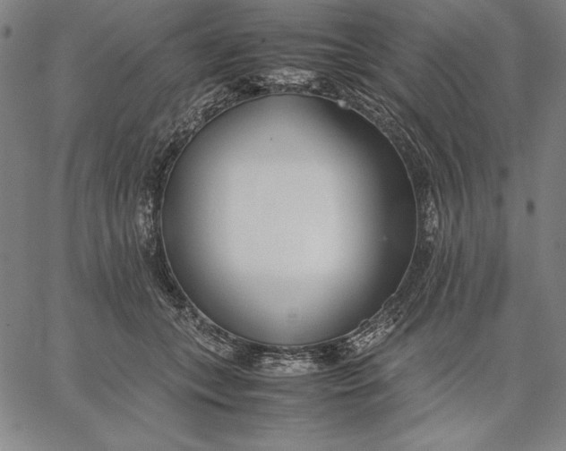 X0000067340559200604131728