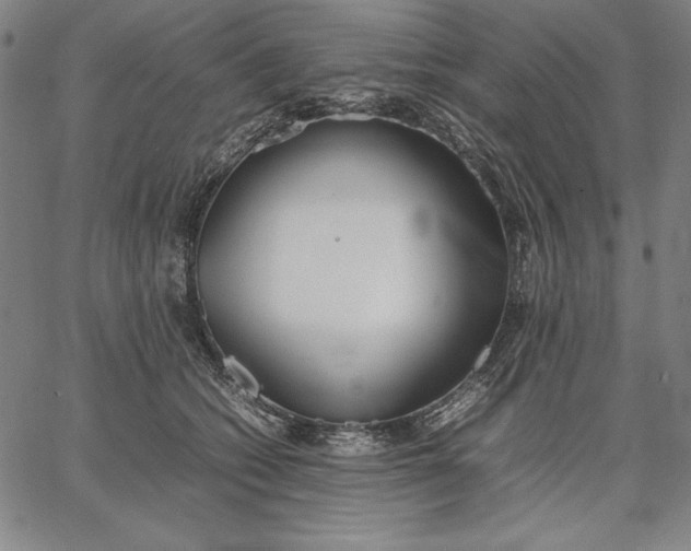 X0000067340562200604131728