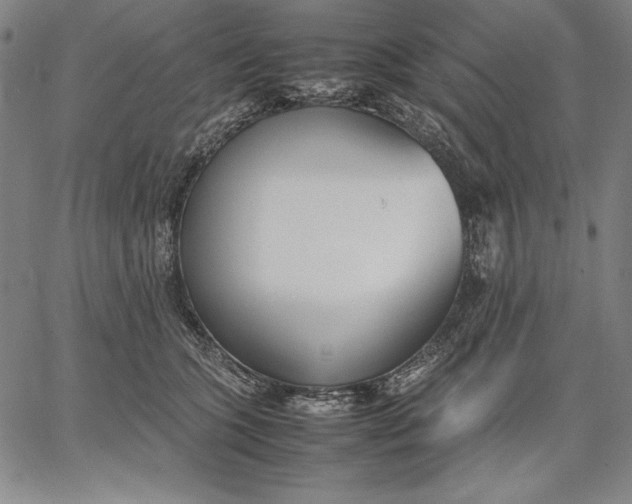 X0000067340563200604131728
