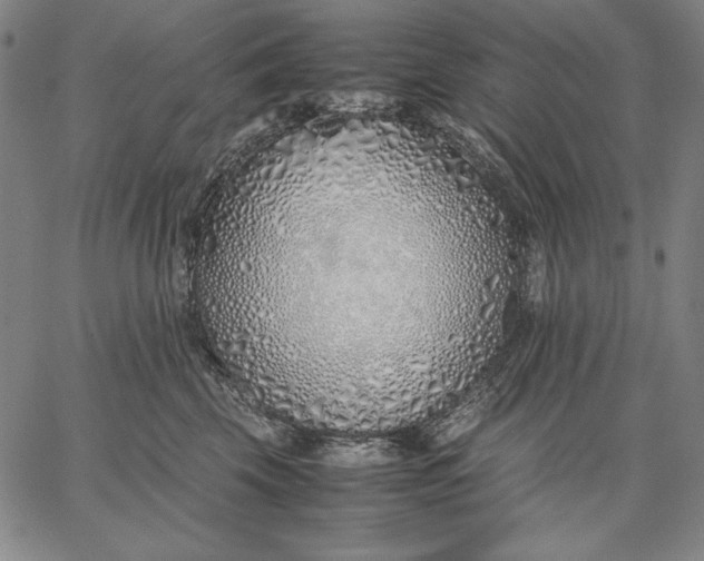 X0000067340569200604131729