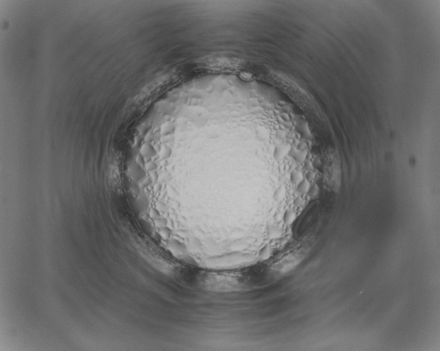 X0000067340573200604131729