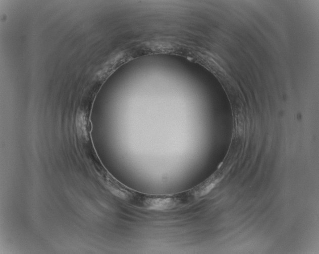 X0000067340575200604131729