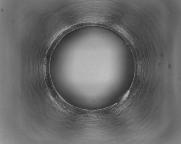 X0000067340580200604131728