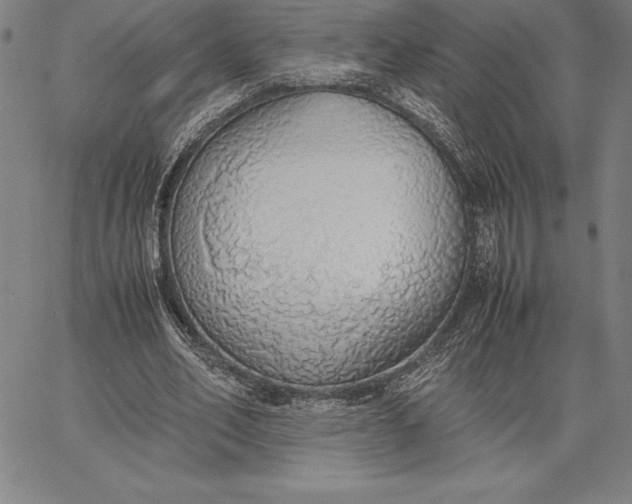 X0000067340582200604131728