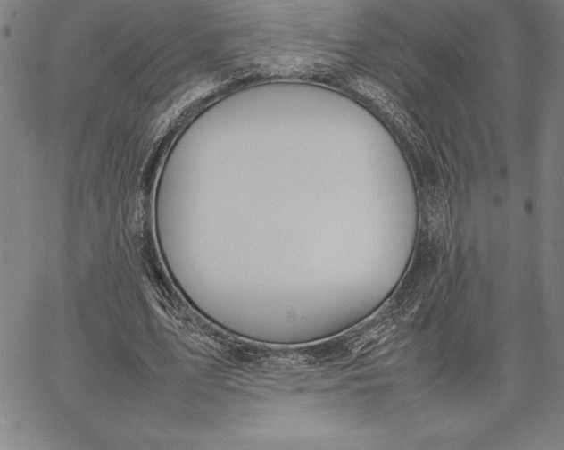 X0000067340583200604131728