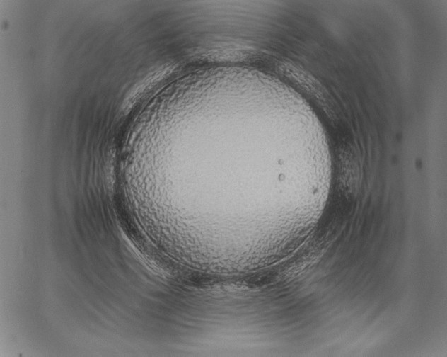 X0000067340586200604131728