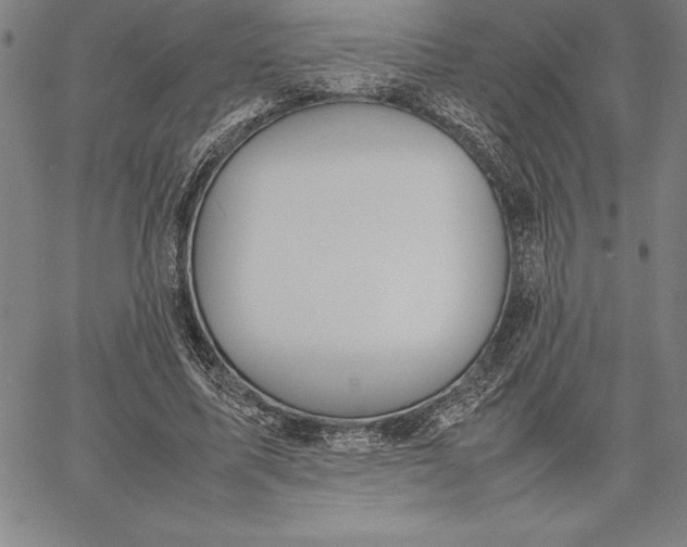 X0000067340587200604131728