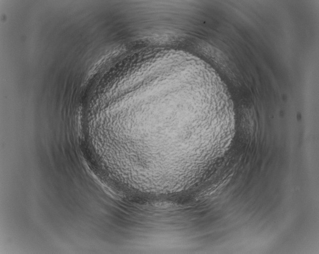 X0000067340590200604131728