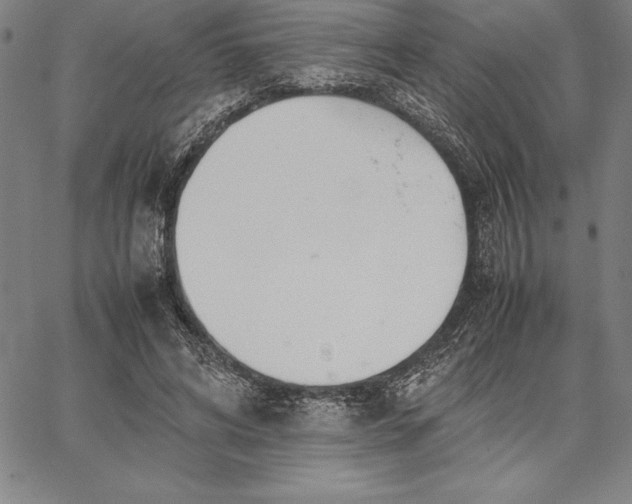 X0000067340592200604131728