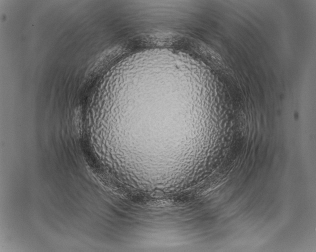 X0000067340594200604131728