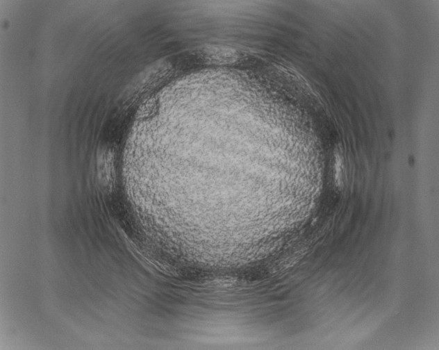 X0000067340598200604131728