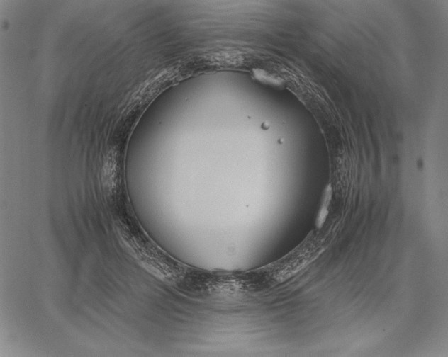 X0000067340600200604131727