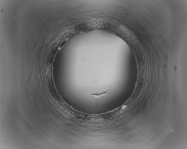 X0000067340601200604131727