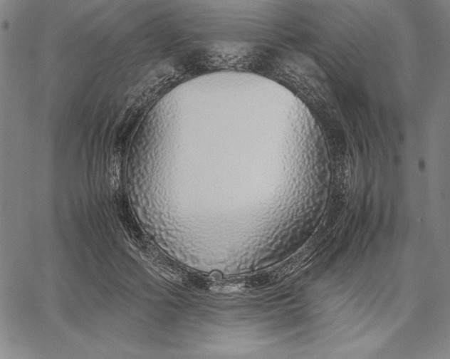 X0000067340602200604131727