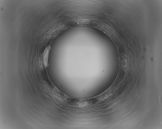 X0000067340604200604131727