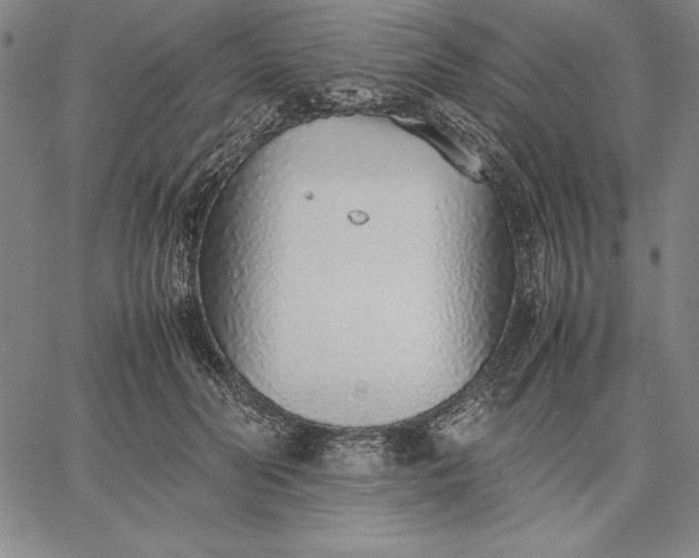 X0000067340606200604131727