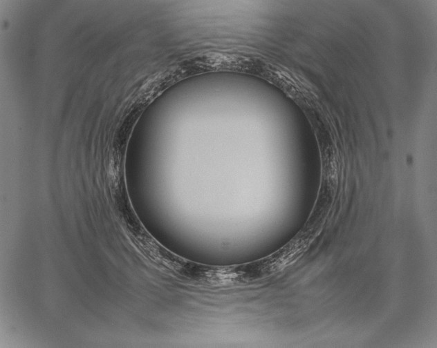 X0000067340607200604131727