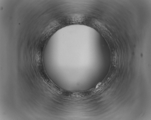 X0000067340608200604131727