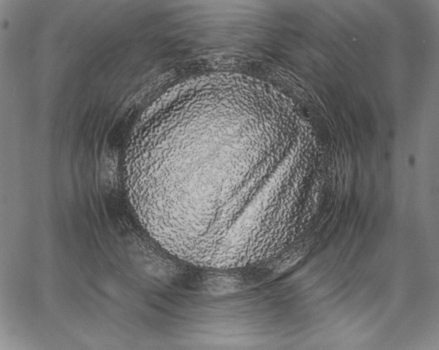 X0000067340610200604131727