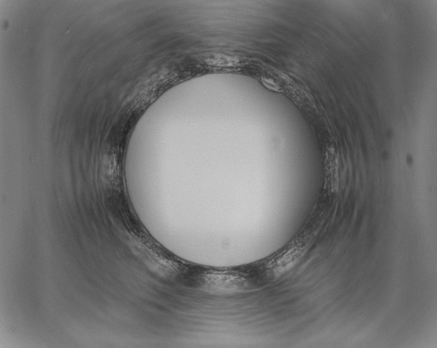 X0000067340614200604131727