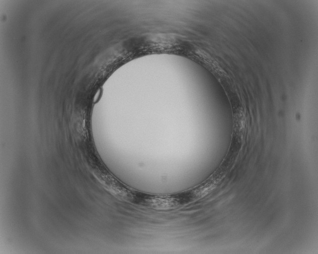 X0000067340615200604131727