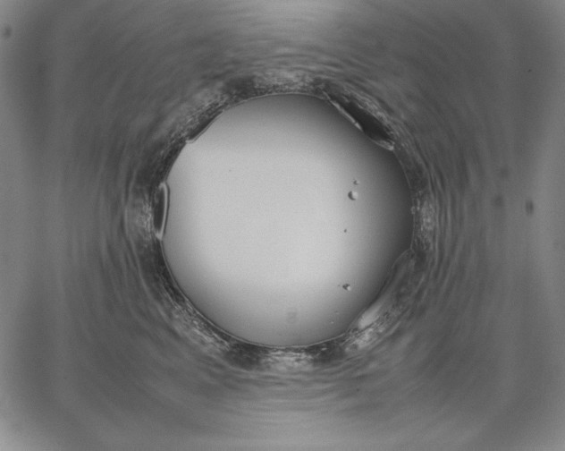 X0000067340617200604131727