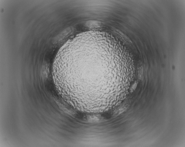 X0000067340618200604131727